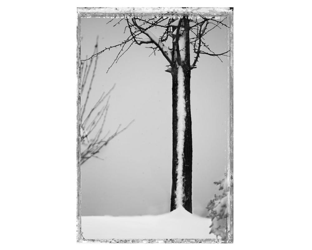 김중만 사진전 《STREET OF BROKEN HEART (2008-2017)》