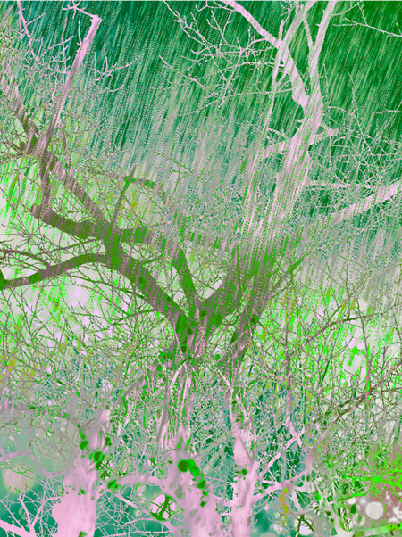 39e4df241be6b9947af254405112a5bb_1746103961_2061.png