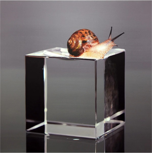 b275948bb004f90e9b6c6c338cf8cdc7_1762192608_7792.jpg b275948bb004f90e9b6c6c338cf8cdc7_1762192608_7792.jpg