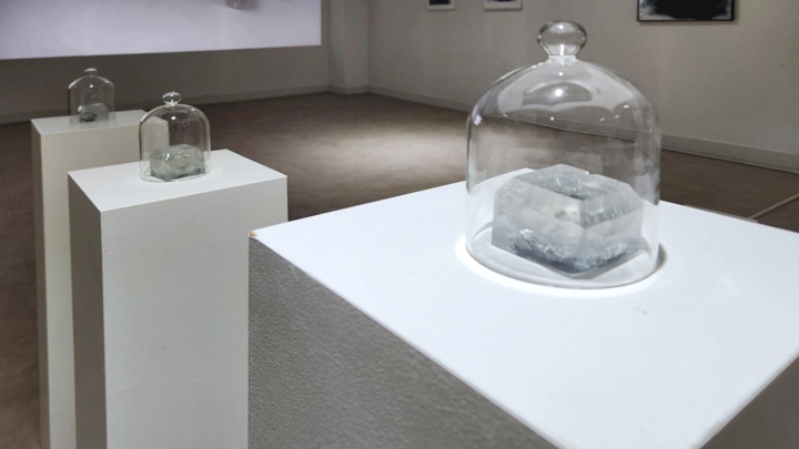 307ae1893ab8cc97bf7b7b0f43983c0f_1771595068_0295.jpg 307ae1893ab8cc97bf7b7b0f43983c0f_1771595068_0295.jpg