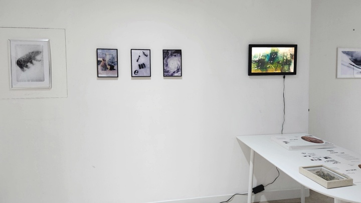 307ae1893ab8cc97bf7b7b0f43983c0f_1771595068_0644.jpg 307ae1893ab8cc97bf7b7b0f43983c0f_1771595068_0644.jpg