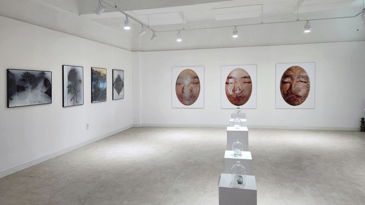 307ae1893ab8cc97bf7b7b0f43983c0f_1771595068_0991.jpg 307ae1893ab8cc97bf7b7b0f43983c0f_1771595068_0991.jpg