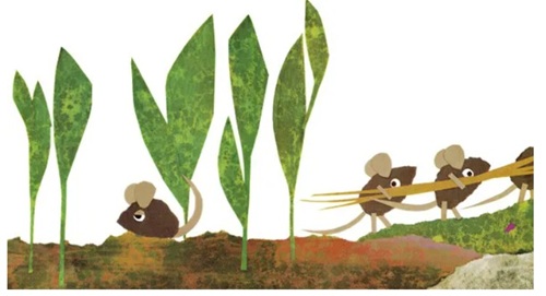 cc344cbb5e947032d44879dfcce71043_1771508905_495.jpg cc344cbb5e947032d44879dfcce71043_1771508905_495.jpg